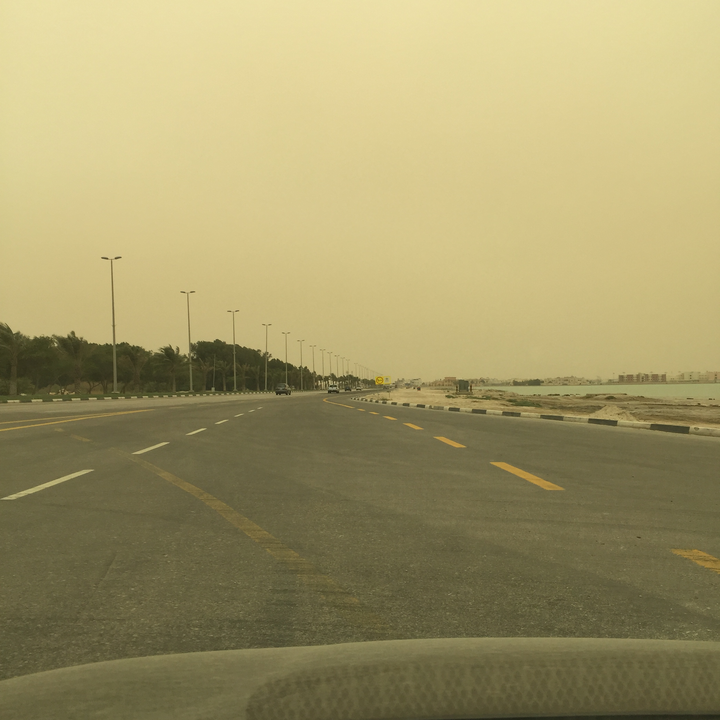 مشاركاتي في أنت الراصد