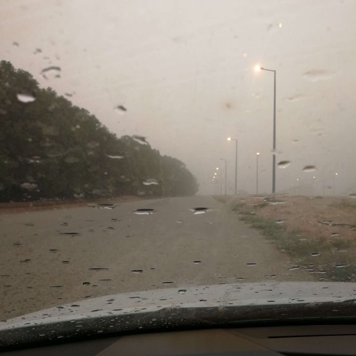 مشاركاتي في أنت الراصد