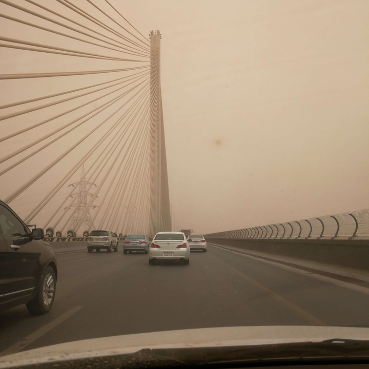 مشاركاتي في أنت الراصد