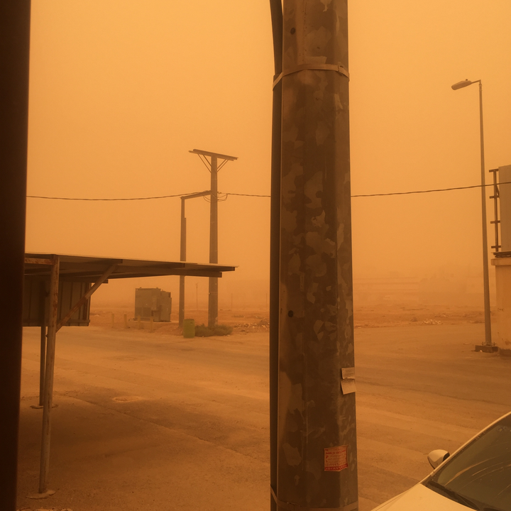 مشاركاتي في أنت الراصد