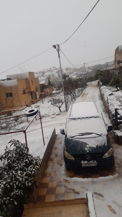 مشاركاتي في أنت الراصد