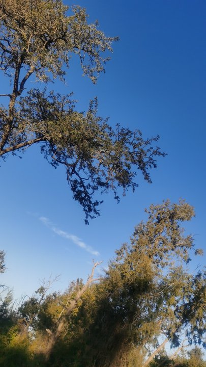 مشاركاتي في أنت الراصد