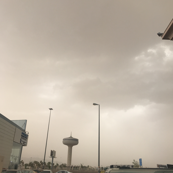 مشاركاتي في أنت الراصد