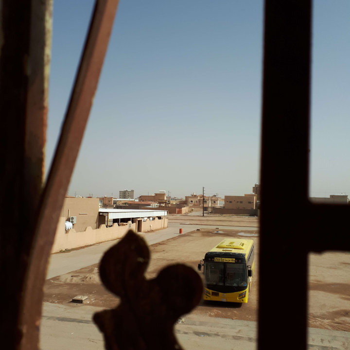 مشاركاتي في أنت الراصد