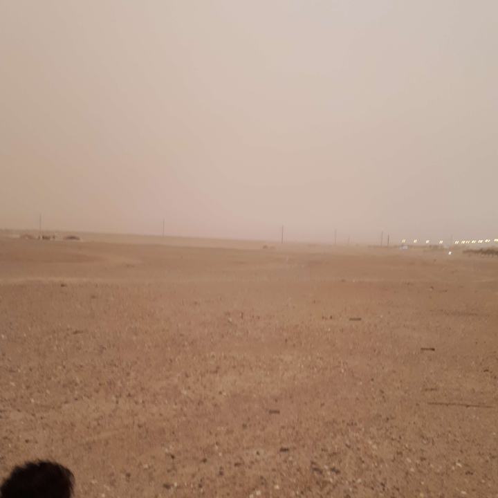 مشاركاتي في أنت الراصد