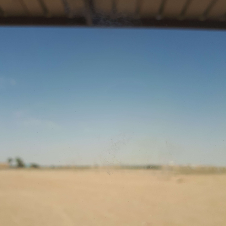 مشاركاتي في أنت الراصد