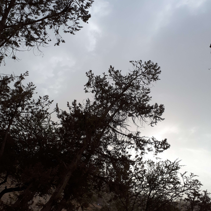 مشاركاتي في أنت الراصد