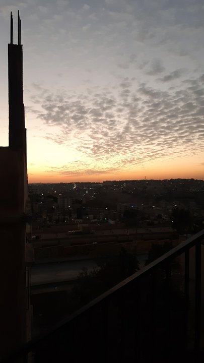 مشاركاتي في أنت الراصد