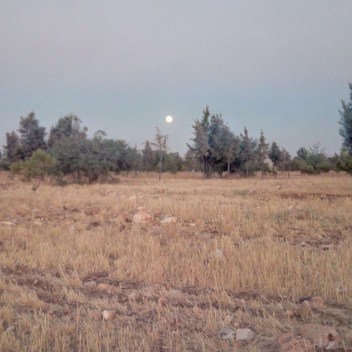 My Crowdsourcing Posts