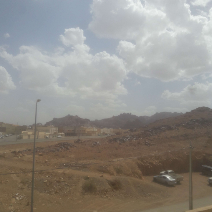 مشاركاتي في أنت الراصد