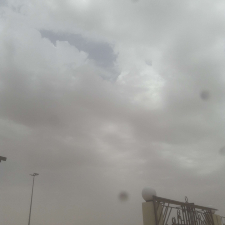 مشاركاتي في أنت الراصد