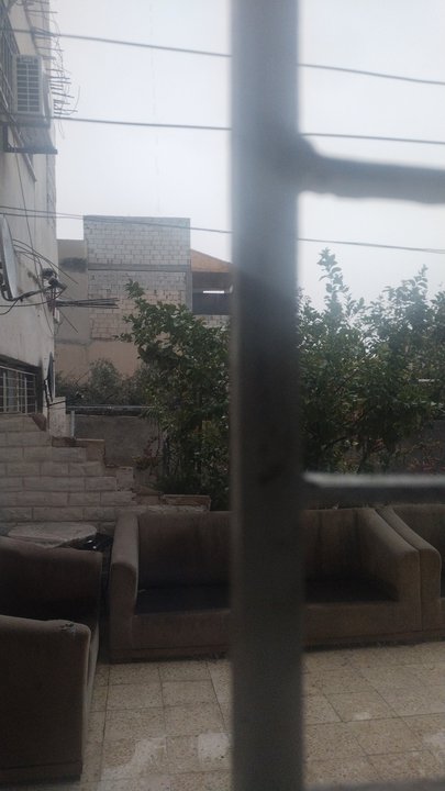 مشاركاتي في أنت الراصد