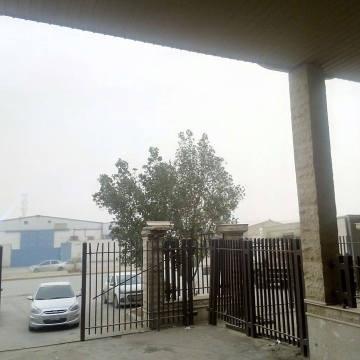 مشاركاتي في أنت الراصد