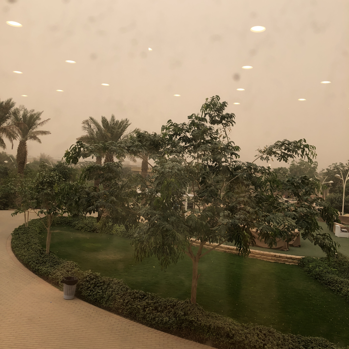 مشاركاتي في أنت الراصد