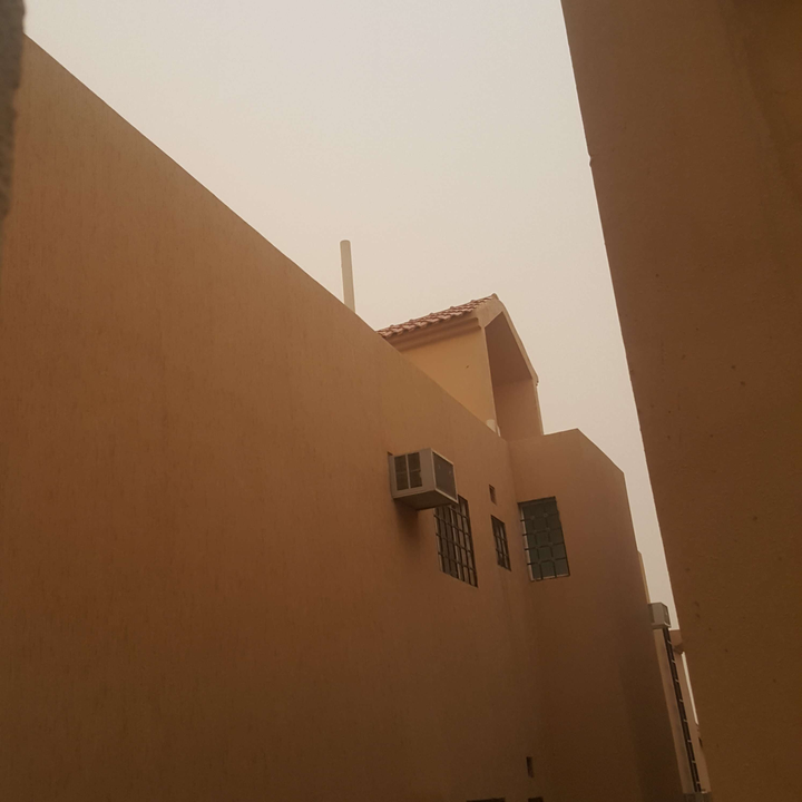 مشاركاتي في أنت الراصد