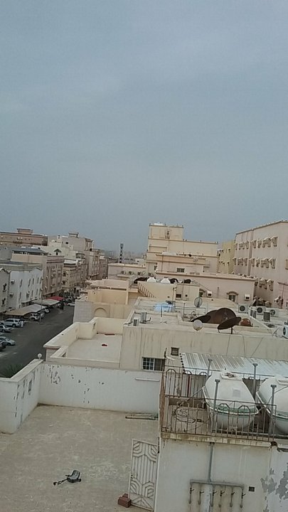 مشاركاتي في أنت الراصد