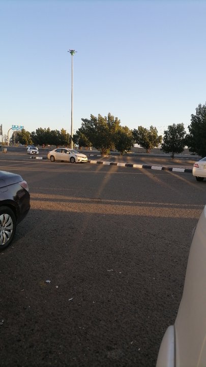 مشاركاتي في أنت الراصد