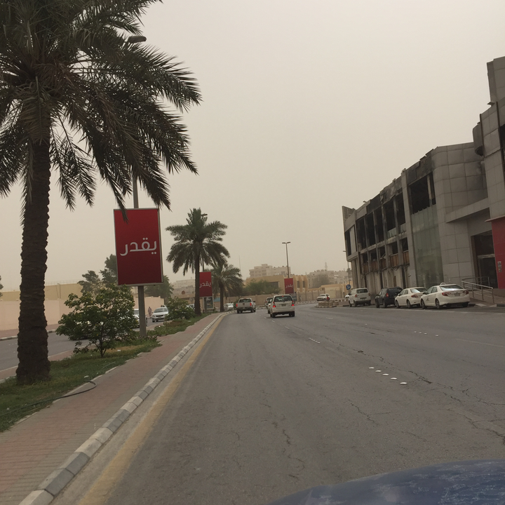 مشاركاتي في أنت الراصد