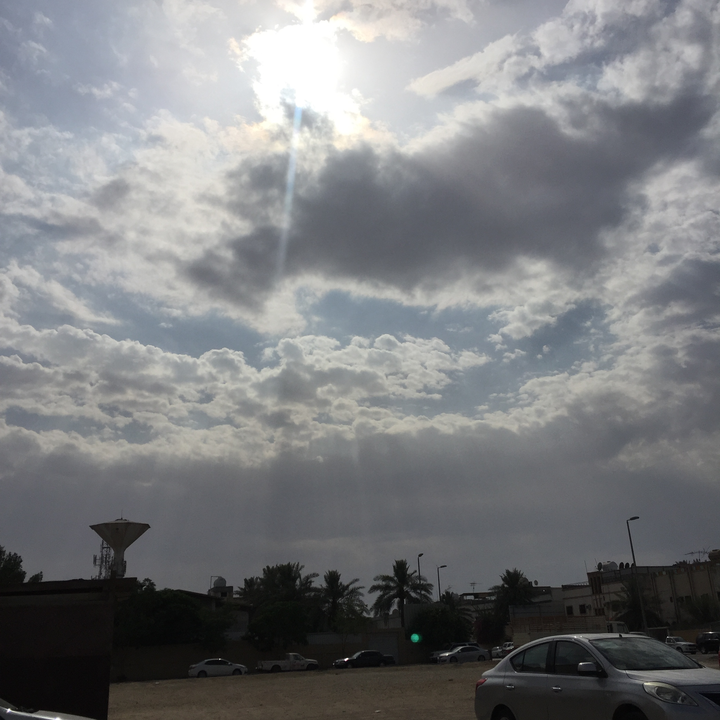 مشاركاتي في أنت الراصد