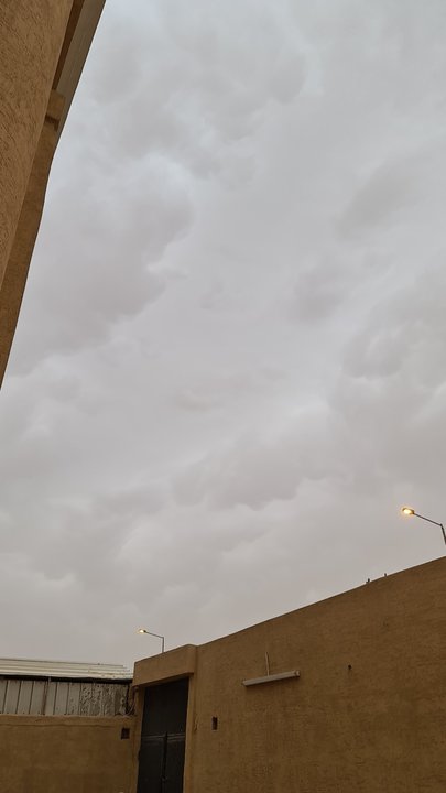 مشاركاتي في أنت الراصد