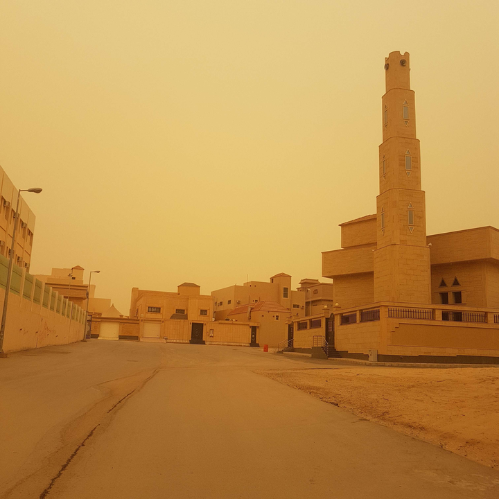 مشاركاتي في أنت الراصد