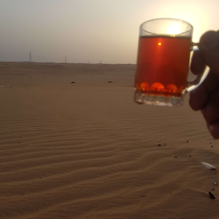 مشاركاتي في أنت الراصد