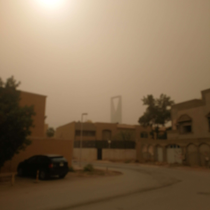 مشاركاتي في أنت الراصد