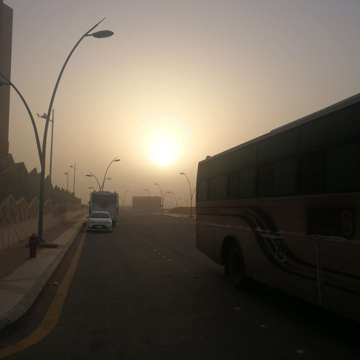 مشاركاتي في أنت الراصد