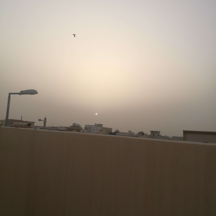 مشاركاتي في أنت الراصد