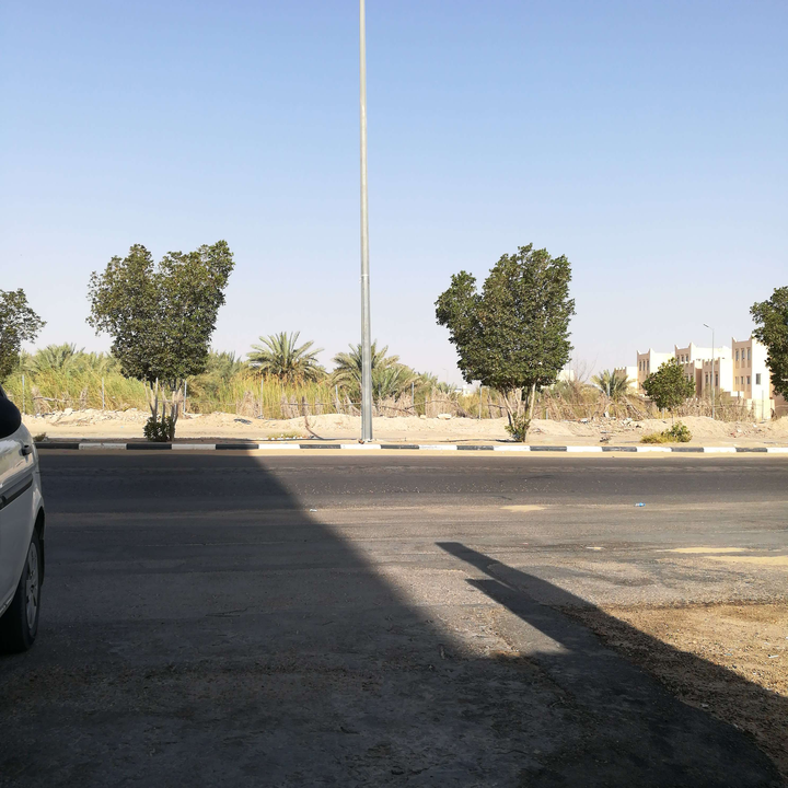 مشاركاتي في أنت الراصد