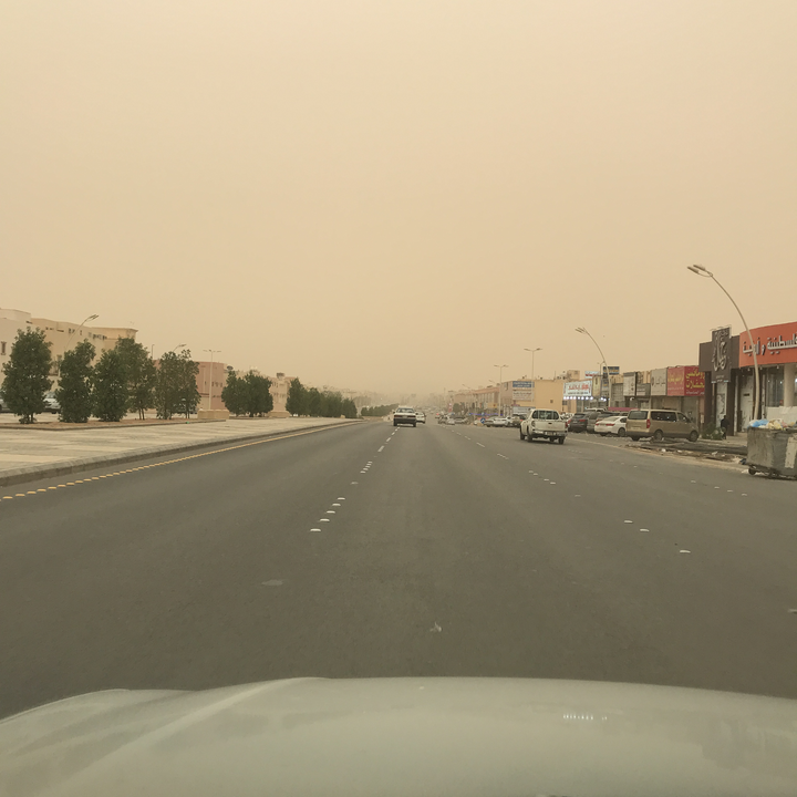 مشاركاتي في أنت الراصد