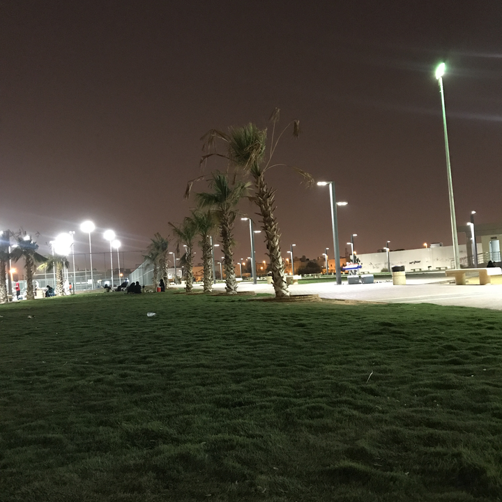 مشاركاتي في أنت الراصد