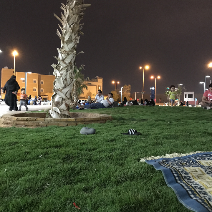 مشاركاتي في أنت الراصد