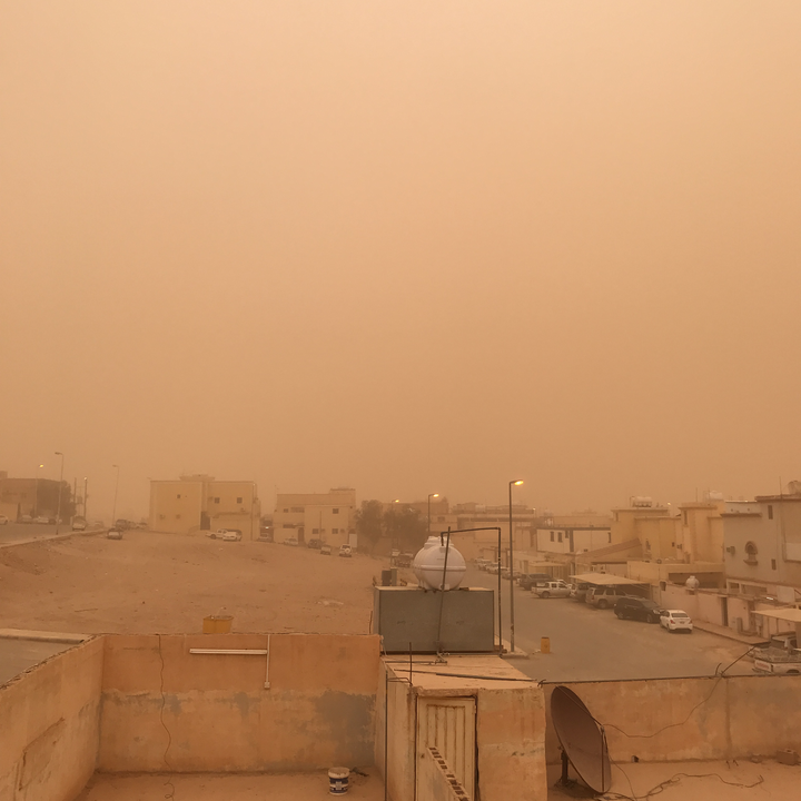 مشاركاتي في أنت الراصد