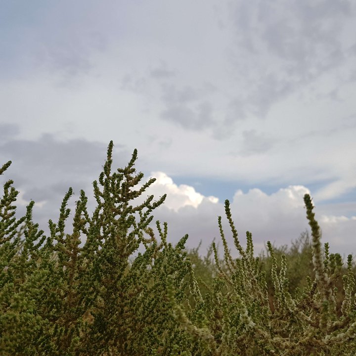 My Crowdsourcing Posts