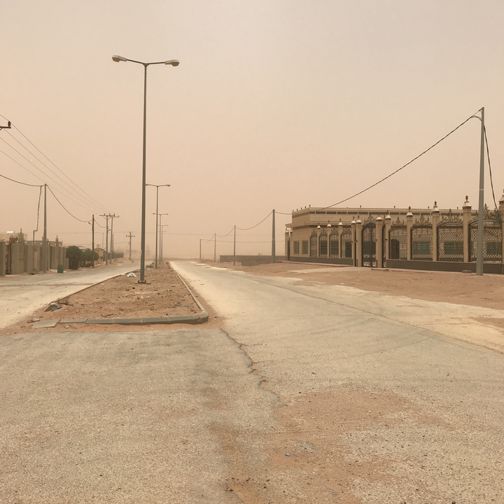 مشاركاتي في أنت الراصد