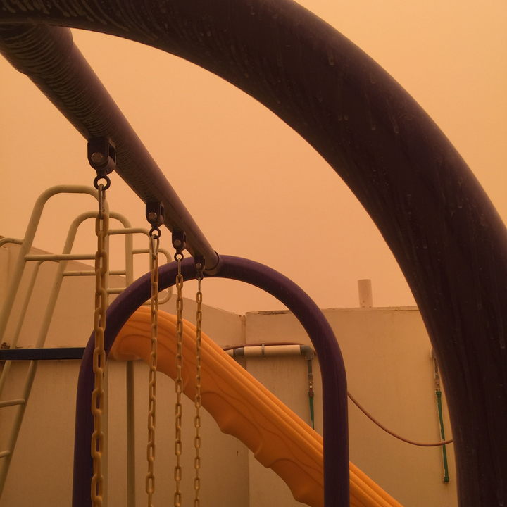 مشاركاتي في أنت الراصد