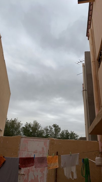 مشاركاتي في أنت الراصد