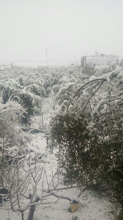 My Crowdsourcing Posts