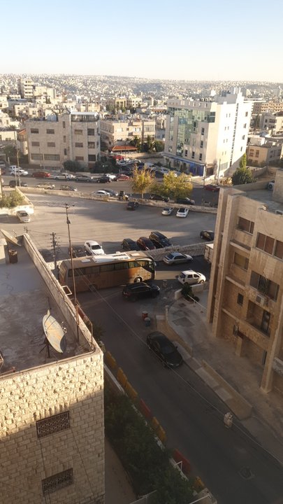 مشاركاتي في أنت الراصد