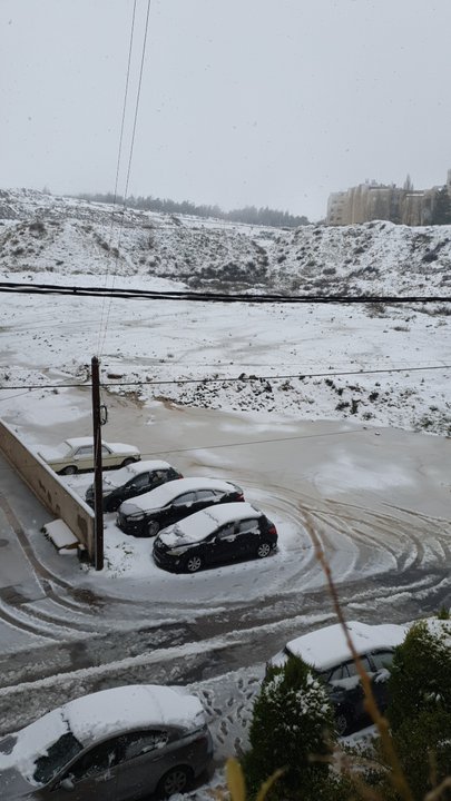 مشاركاتي في أنت الراصد