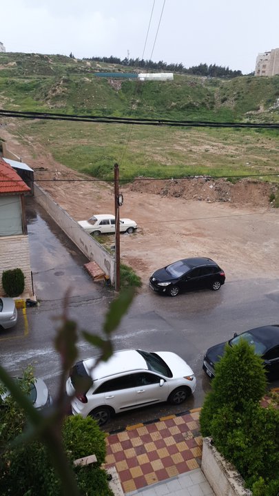 مشاركاتي في أنت الراصد