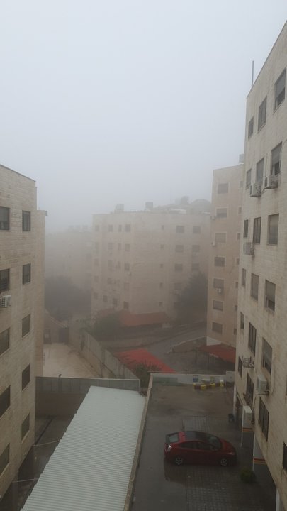 مشاركاتي في أنت الراصد