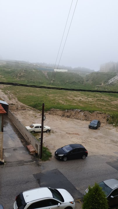 مشاركاتي في أنت الراصد