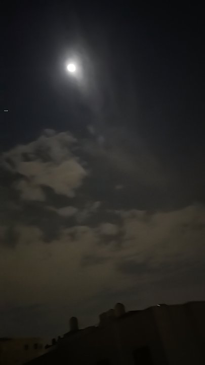 مشاركاتي في أنت الراصد