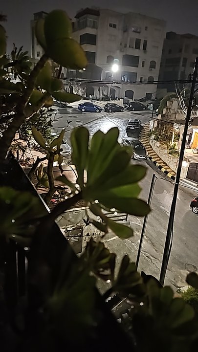 مشاركاتي في أنت الراصد