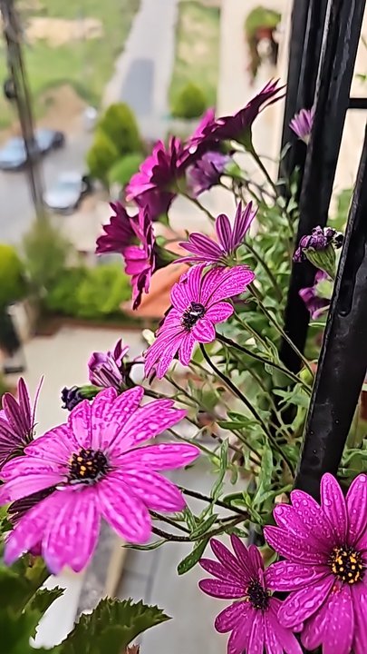 My Crowdsourcing Posts