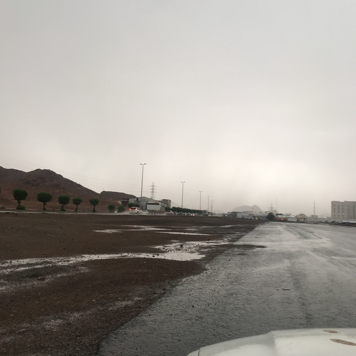 مشاركاتي في أنت الراصد