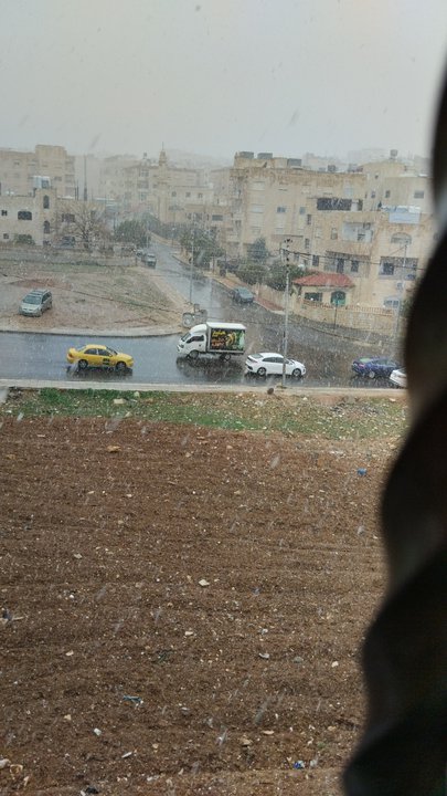 مشاركاتي في أنت الراصد