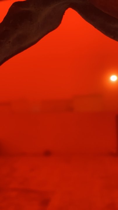 مشاركاتي في أنت الراصد